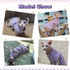 Sphynx Hairless Cat Shirt Rainbow Stripe Kitten T-Shirt With Sleeves,