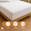 SlumberWell Terry Cotton Waterproof Fitted Mattress Protector, Breathable, Machine Washable