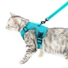 pangdi Cat Harness and Leash Set Escape Proof Tactical Medium