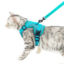 pangdi Cat Harness and Leash Set Escape Proof Tactical Medium Kitten Harness Emotional Support Cat Vest, Turquoise, M