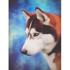 SKRYUIE 5D Diamond Painting Husky Dog Full of Love Full Drill by Number Kits, DIY Rhinestone Pasted Paint with Diamond Set Arts Craft Decorations (12x16inch)