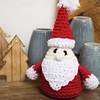 DIY Crochet Kit Santa Claus