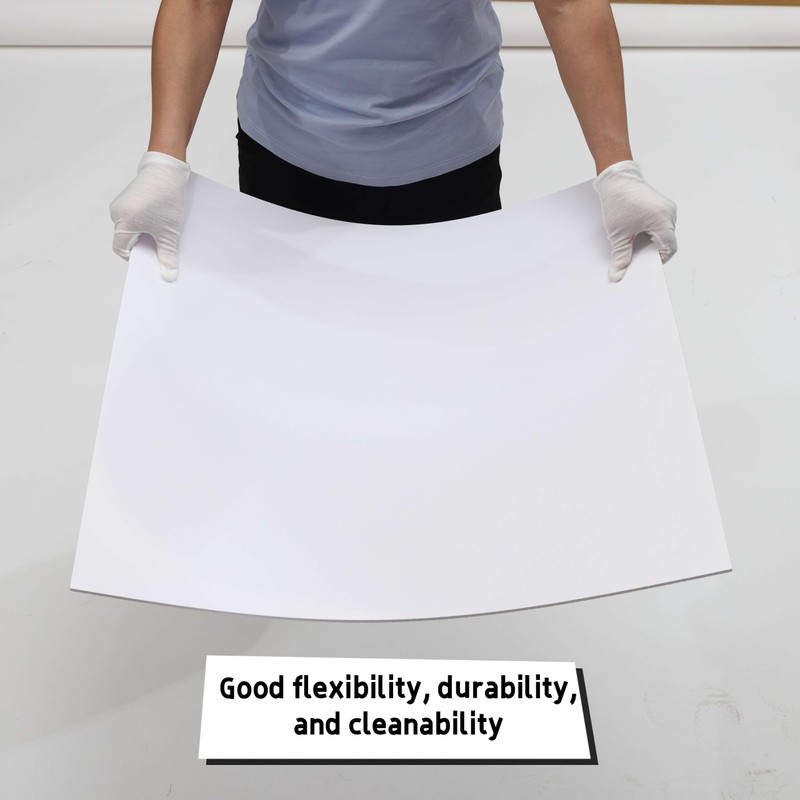 10-Pack White Ceiling Panel 4ft x 2ft (48in x 24in),