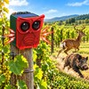 Solar Motion Sensor Alarm with Dog Barking & Gunshot Sounds