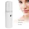 2PCS Portable Nano Facial Mister Mini Facial Steamer USB Rechargeable