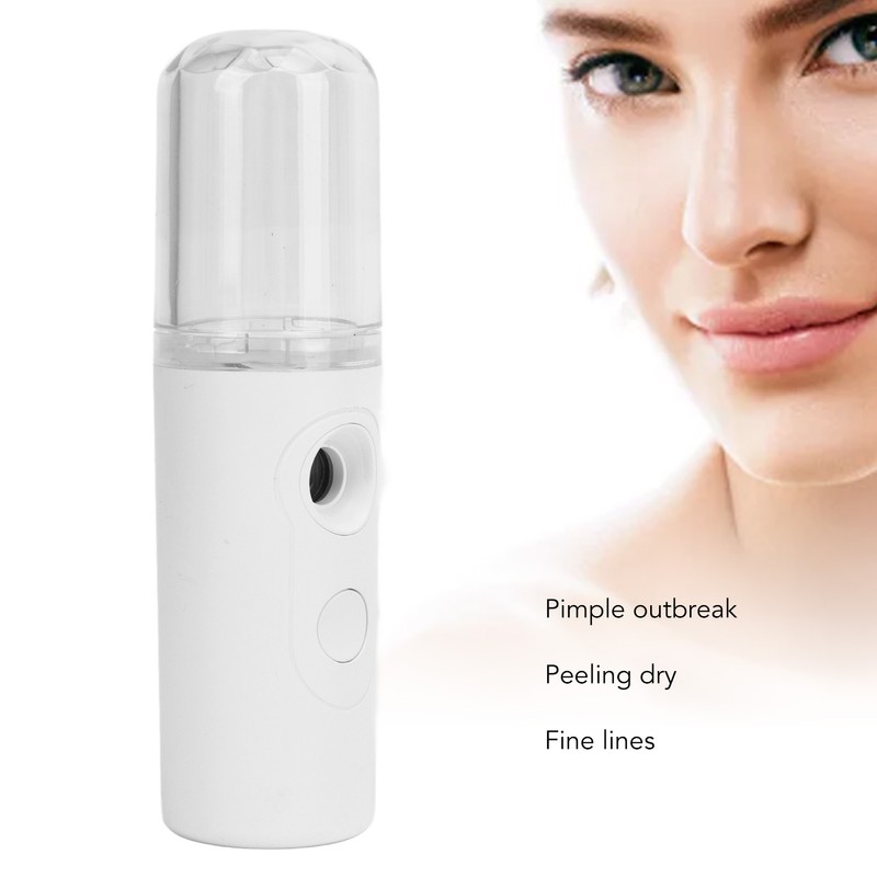 2PCS Portable Nano Facial Mister Mini Facial Steamer USB Rechargeable