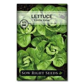 Sow Right Seeds Sow Right Seeds - Little Gem Lettuce Seeds for Planting - Non-GMO Heirloom Packet with Instructions to Plant a Home Vegetable Garden - Outdoors or Indoors Hydroponics - Miniature Romaine Variety (1)