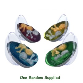 eMKay® Alien Egg with Twin Babies | Surprise Squishy Aliens in Gooey Slime | Party Bag Filler, Sensory Toy, Novelty Gift for Kids | 8.5cm Space Egg Toy for Boys & Girls