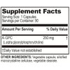 Brain Basics Ultra Alpha-GPC | 500 mg A-GPC | 90