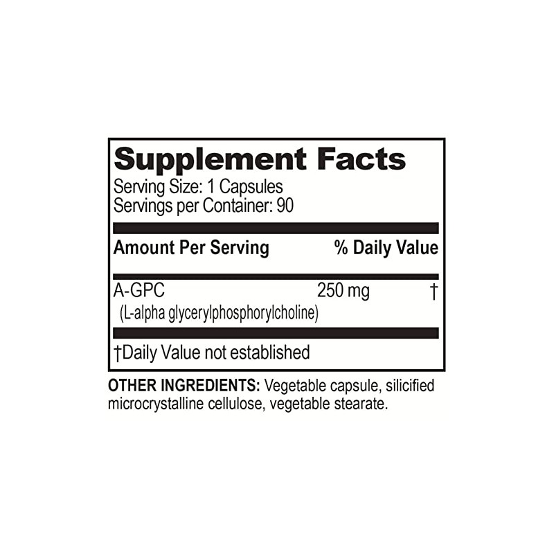 Brain Basics Ultra Alpha-GPC | 500 mg A-GPC | 90