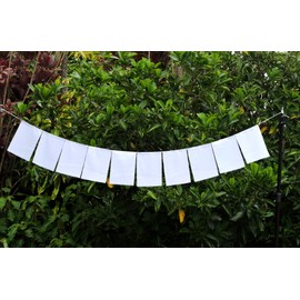 Blank Prayer Flags Set of 10 Flags Put Your own Prayers (White)