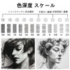 PHOENIX Sketch Pencils Set of 12 - Drawing Pencils 2H-9B