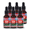 통라이프 ()플라보노이드463mg 프로폴리스액상30ml 6병 Tong Life Flavonoid 463mg Propolis Liquid 30ml 6 Bottles