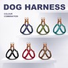 Didog Step in Dog Harness with Metal Buckles, Freedom Nylon