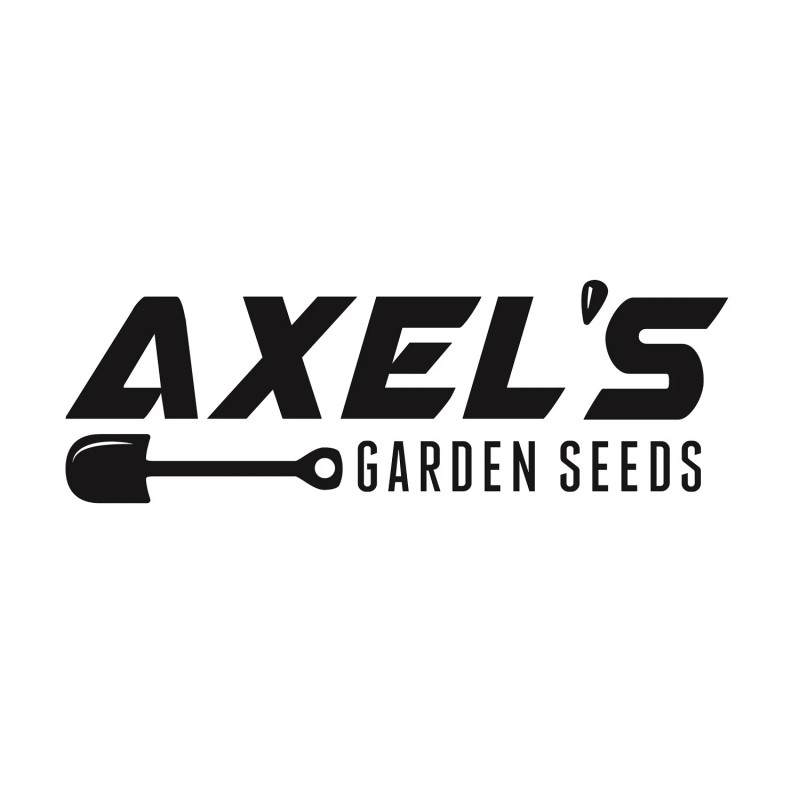 Axel's Garden Seeds Red Acre Cabbage MICROGREEN Seeds | Heirloom