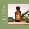 OLEUM VITAE Aceite Esencial de Eucalipto 120ml. Eucalyptus Globulus 100%