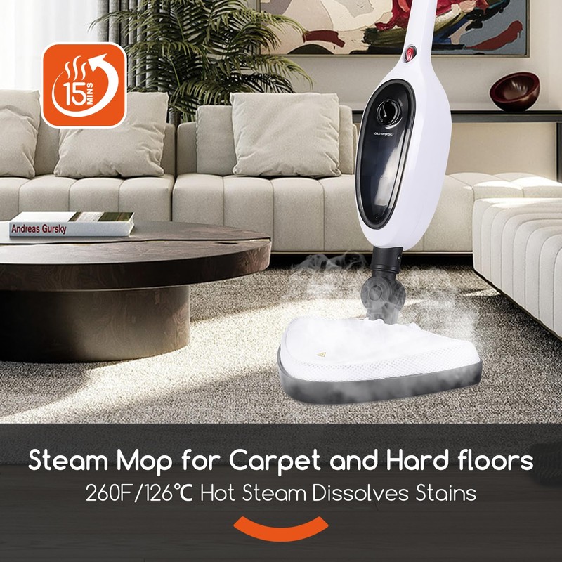 REECOO Steam Mop with Attachments,20s Rapid Heating,Lightweight Floor Steamer for