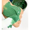 Ithaca Modeling Pack Dermatology Modeling Pack Spirulina Intense Collagen Tea