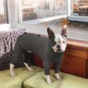 LeleTail Dog Pajamas for Small Dogs - Soft Pet Onesie