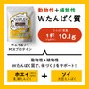 なかやまきんに君プロデュース ファミテイン（カカオ味 300g）ホエイ ソイ プロテイン