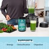 Ancient Nutrition SuperGreens Powder with Probiotics, Organic Peppermint Flavor Greens,
