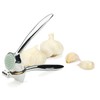 RSVP International Kitchen Tool Collection Garlic Press Dishwasher Safe, 7-inch,