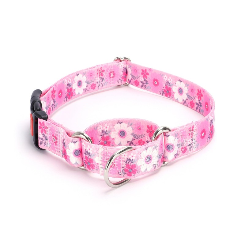 Moonpet Martingale Collar for Dogs Adjustable Soft Durable Dog Collar