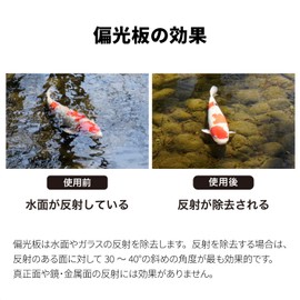 Kenko 897331 Polarizer, 3.9 x 3.9 inches (100 x 100 mm), Thickness 0.004 inches (0.1 mm), Transmittance: 40.0±1.5%, Neutral Gray, Made in Japan