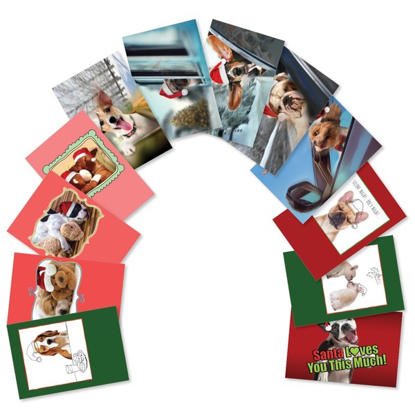 The Best Card Company - 12 Assorted Christmas Cards Bulk - Cute Boxed Greeting Card Assortment, Kids Xmas - Puppy Holidays A5642XSG-B1x12