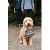 Pearhead Pet's Baby Announcement Chalkboard Photo Prop Sign, Mom &