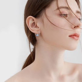 POPLYKE Ocean Animal Hoop Earrings for Women 925 Sterling Silver Hypoallergenic Earrings Jewellery Birthday Gifts, Sterling Silver