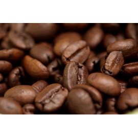 Olde World Coffee Company 2025 Brazilian Santos Bourbon - Fresh Roasted Coffee -  1  Bag  -  Whole Bean