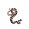 Diamond Back Rattle Snake Embroidered Iron on Patch