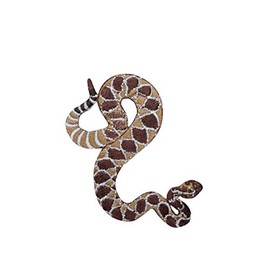 Diamond Back Rattle Snake Embroidered Iron on Patch