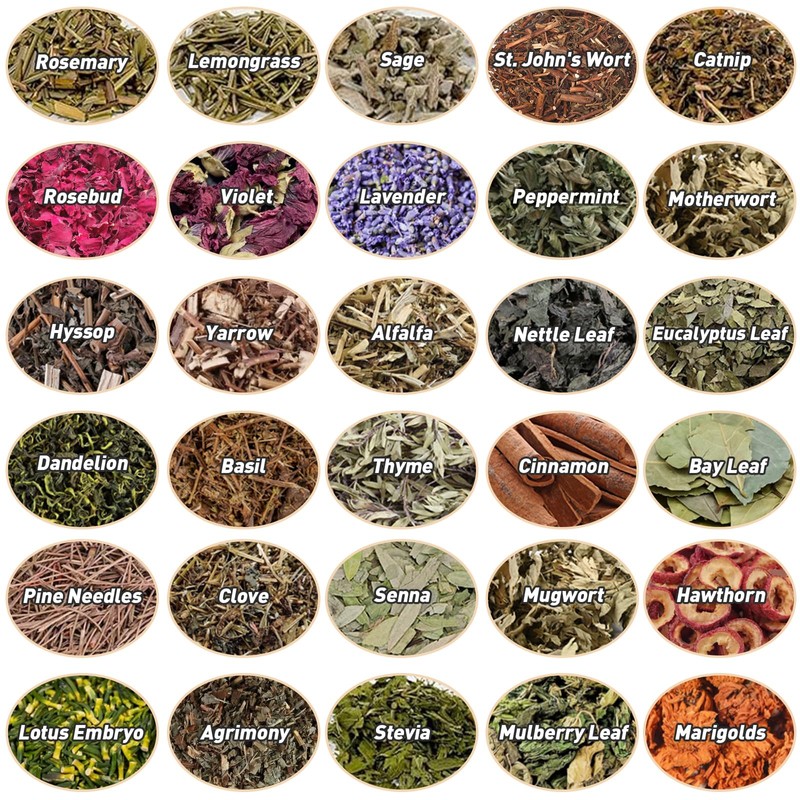 30 Pack Witchcraft Supplies Herbs, Dried Herbs and Flowers Bottles