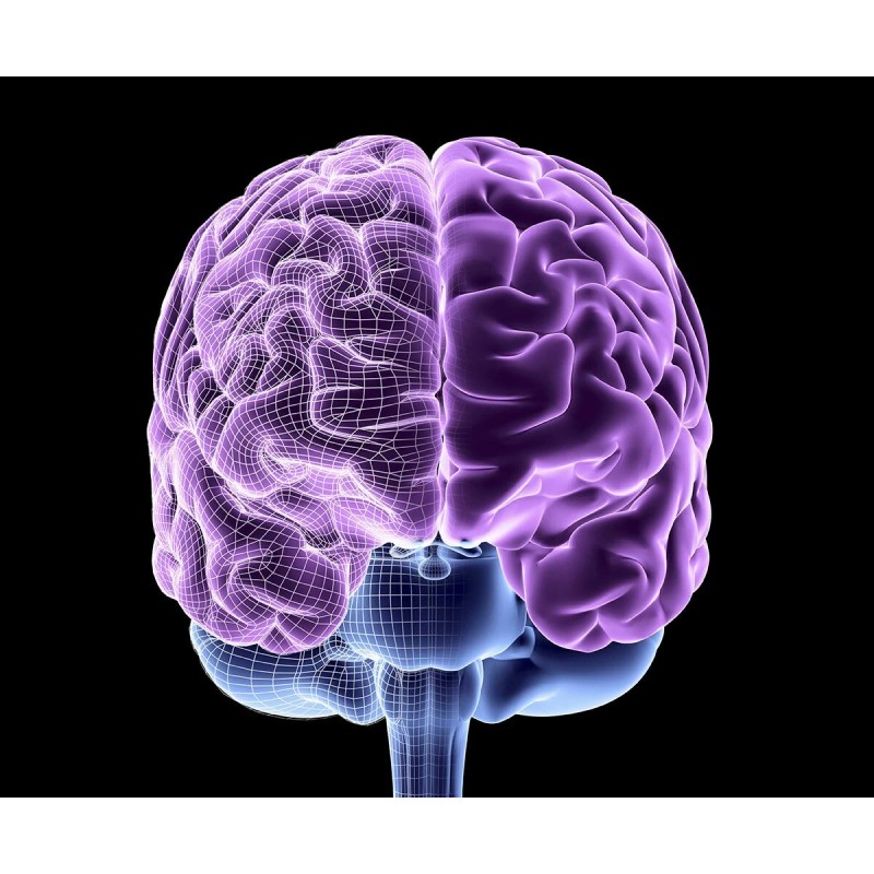 easy digestion - BEET ROOT - antioxidant complex 3 BOTTLE