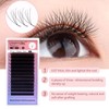 COAST GIRL 4D W Lashes Eyelash Extensions Premade Volume Fans