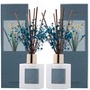 Cocorrína Premium Reed Diffuser Set with Preserved Baby's Breath &