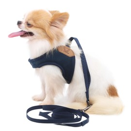 LOPHIPETS Lightweight Dog Harness with Leash Set for Medium Dogs -Blue/L