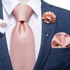 DiBanGu Silk Men Solid Pink Tie and Lapel Pin Set