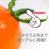 Food Sample Magnet, Mini Tomatoes (Orange), 242 OM