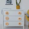 Lasyman 8Pack1.8 Safari Animals Wooden Cabinet Knob Elephant Giraffe Lion