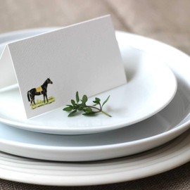 Nancy Nikko Place Cards with Race Horse Illustration for Equine Themed Dinner Parties and Events. Table Tent Style, Scored for Easy Folding. Available in Packages of 12 and 25 (25)