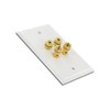 Selby Budget 2 Speaker Cable Wall Plate Wallplate DIY Home