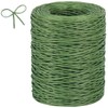Tenn Well Floral Wire, 200 Meters 2mm Paper Covered Binding Wire, Rustic Vine Wire for Floral Arrangements, Flower Crowns, Grapevine Wreath Making, Wedding Decorating, DIY Projects (Green)