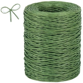 Tenn Well Floral Wire, 200 Meters 2mm Paper Covered Binding Wire, Rustic Vine Wire for Floral Arrangements, Flower Crowns, Grapevine Wreath Making, Wedding Decorating, DIY Projects (Green)