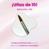 Pincel Desing Kolinsky 10 Uñas Acrilicas Fantasy Nails Pro Color
