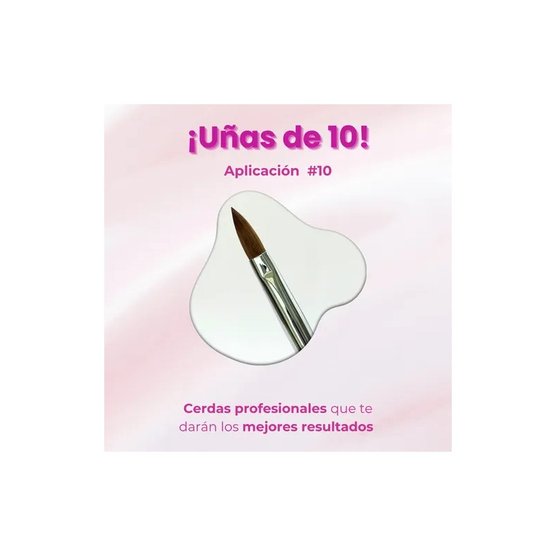 Pincel Desing Kolinsky 10 Uñas Acrilicas Fantasy Nails Pro Color