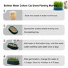 YUMINGUHC 2Pcs Cat Grass Planter (No Seeds Included) Wheatgrass Planting