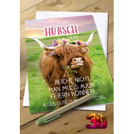 KE Funny Birthday Card with 3D Effect - Folding Card with 3D Surface, including Envelope - Greeting Card in DIN B6 Format - Design: Beef